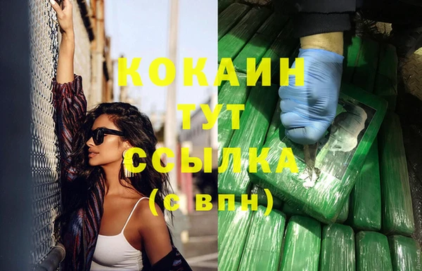 стаф Алексин