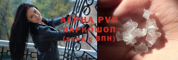 стаф Алексин