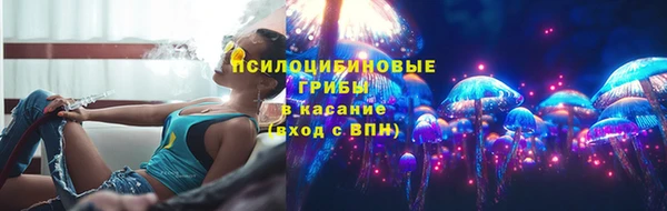 стаф Алексин